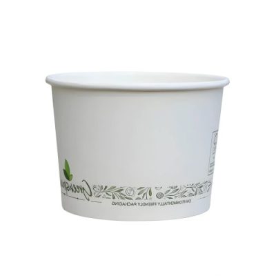 16OZ Greenspirit Compostable Soup Cup & Lid Combo Catex.ie