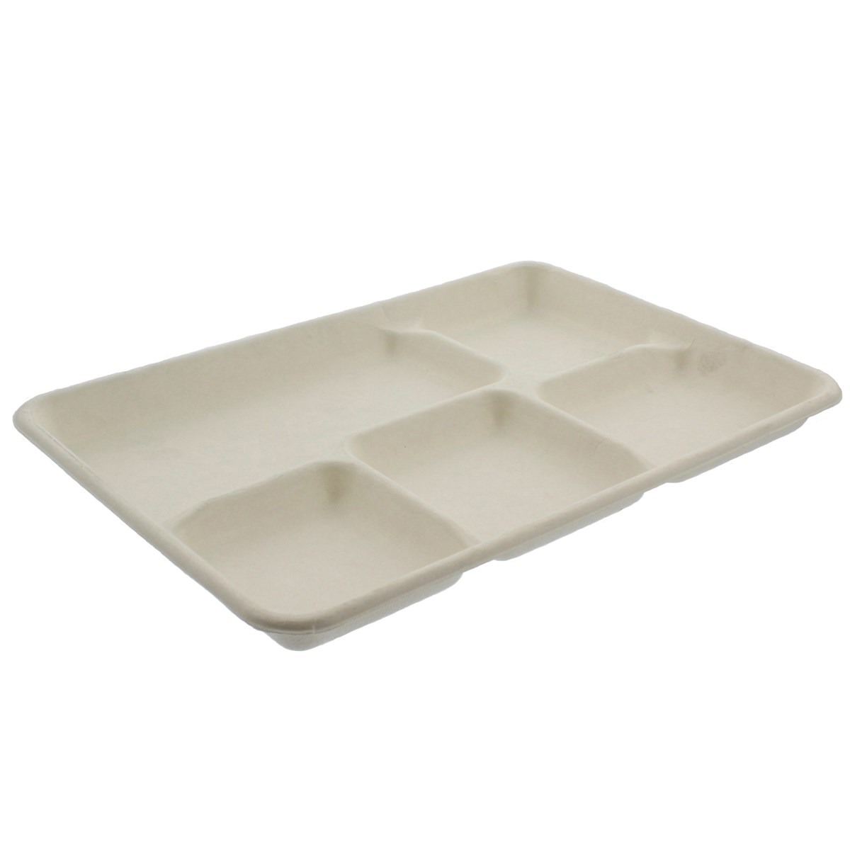 10 X 8 Inch Compostable Sugarcane 5 Compartment Plate