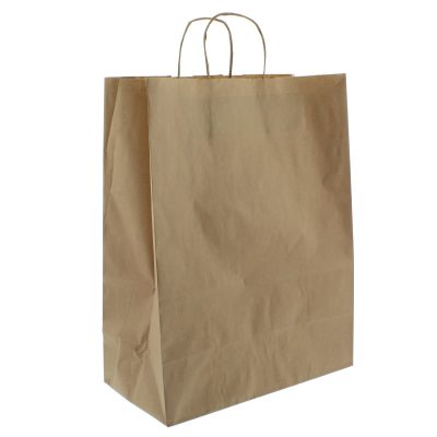 Flat Twisted Handle Kraft Paper Bags- Catex.ie