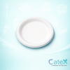Bulk pack of 500 natural white 10 inch oval compostable bagasse plates made from sugarcane