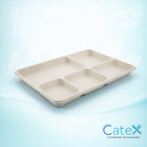 Bulk 500 pack of 10x8 inch white 5-compartment plates made from compostable sugarcane bagasse