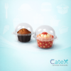 Single Cupcake Clam Containers Ireland - Bulk pack of 1050 clear plastic individual cupcake pods