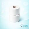 Case of 12 mini jumbo toilet rolls 2-ply soft embossed for commercial dispensers